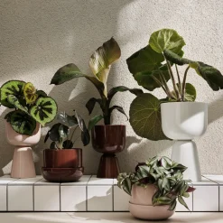 Kruka med fat beige S