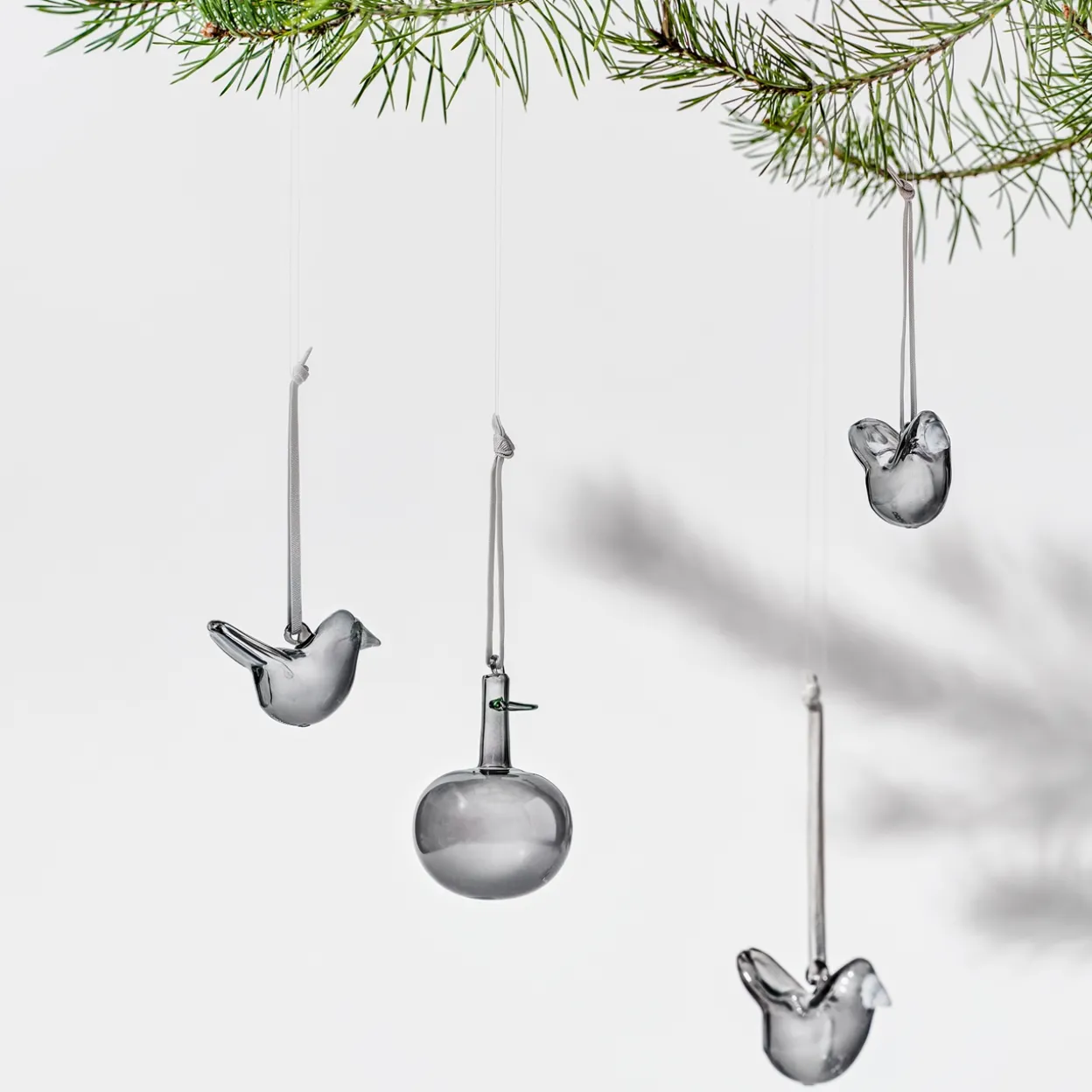 Mini glasfågel grå 3st